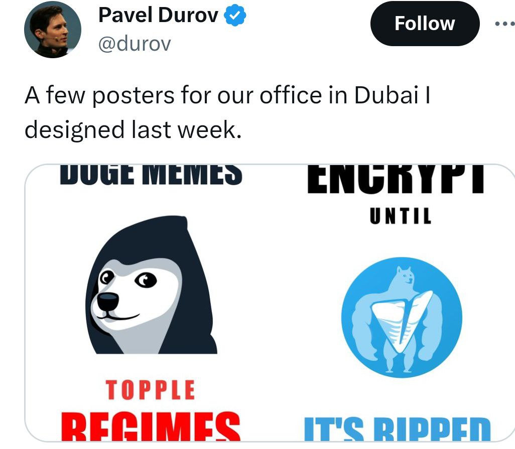 Crypto30Vinny's tweet photo. @JakeGagain @BenArmstrongsX I bet my life savings to $JDOGE 

og meme dog by tg founder Pavel Durov https://t.co/YkWX38Sppq