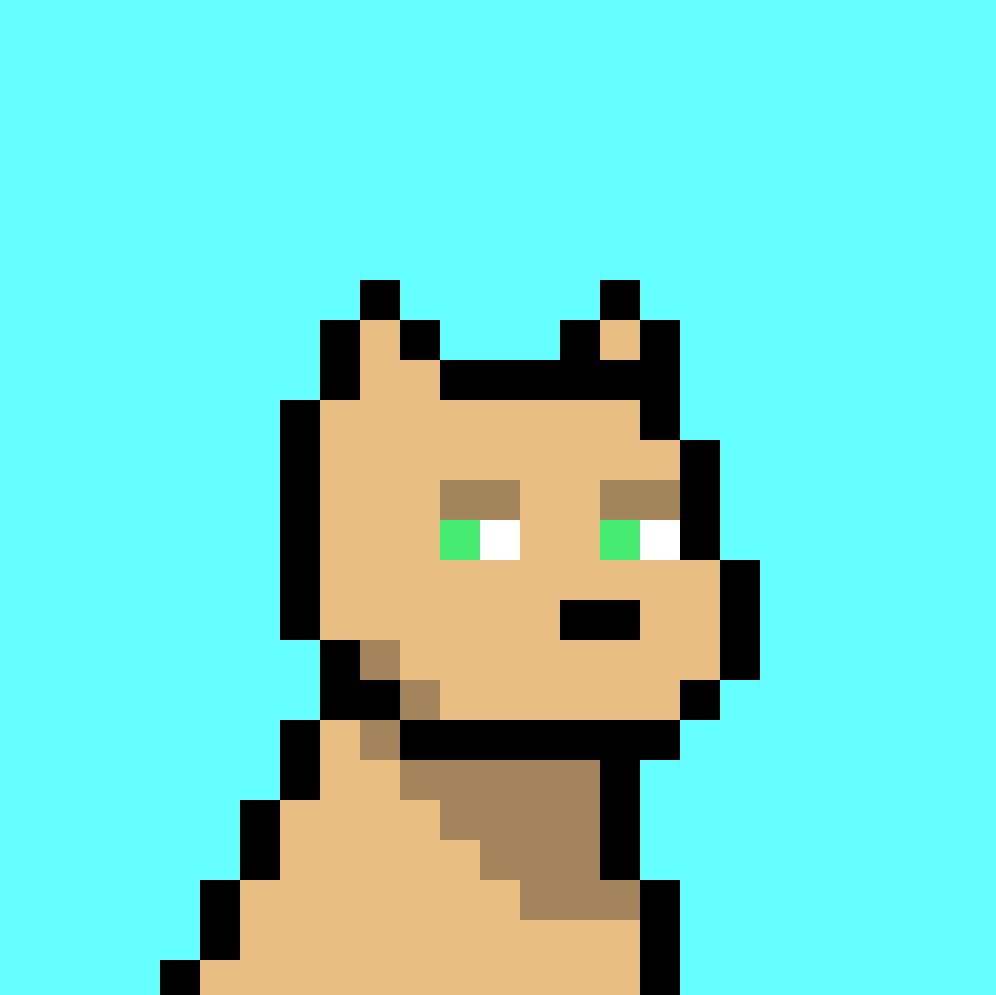 Chase🥷 tweet media