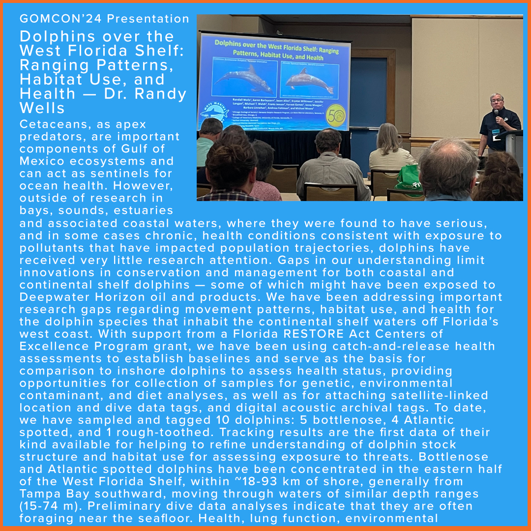 dolphinsarasota's tweet photo. SDRP Program Director Dr. Randy Wells presented information about health, ranging and diving patterns of continental shelf dolphins during #GOMCON 2024 in Tampa this week. Get more SDRP news directly to your inbox by signing up for our enewsletter at https://t.co/OcrbEqC6wH https://t.co/0bXWUjZC7N