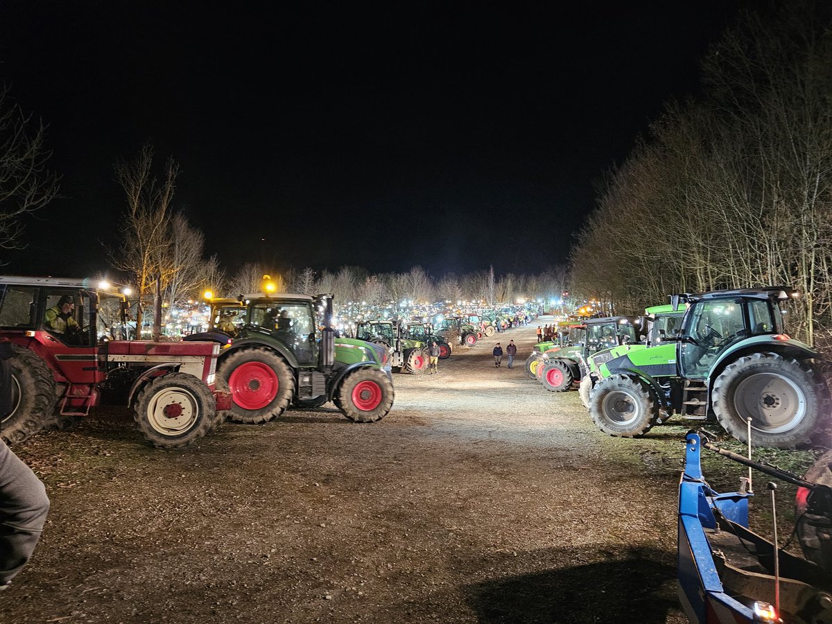 Nicolas Kolly tweet media