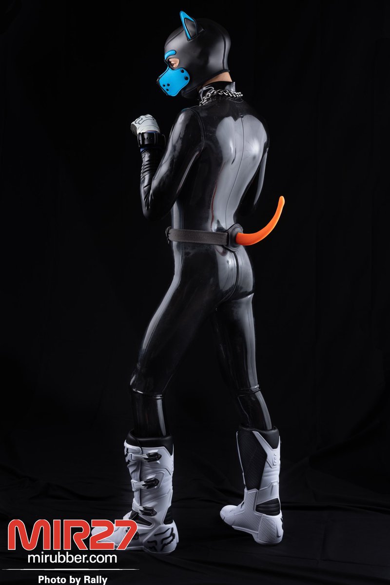 Pup Patch tweet media