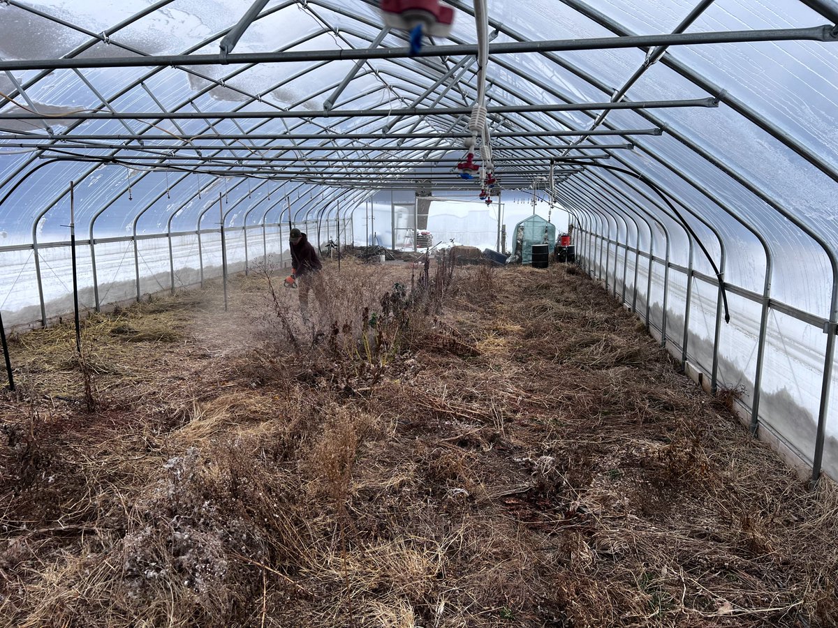 NobleGrowing's tweet photo. NGS got to help out at the Animal Bonds community greenhouse! Did some clearing and hanging misters to prep for this spring! https://t.co/Io6emZN0IW