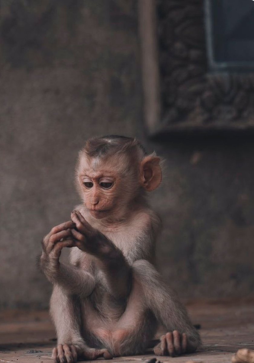 AndyRitah's tweet image. Willy acts like that "bestfriend" who wants your gal n is always hanging around you two. Always a third wheel to #ZeePapi. Don't come for me, I'm respecting the Lent period.
#BBMzansi