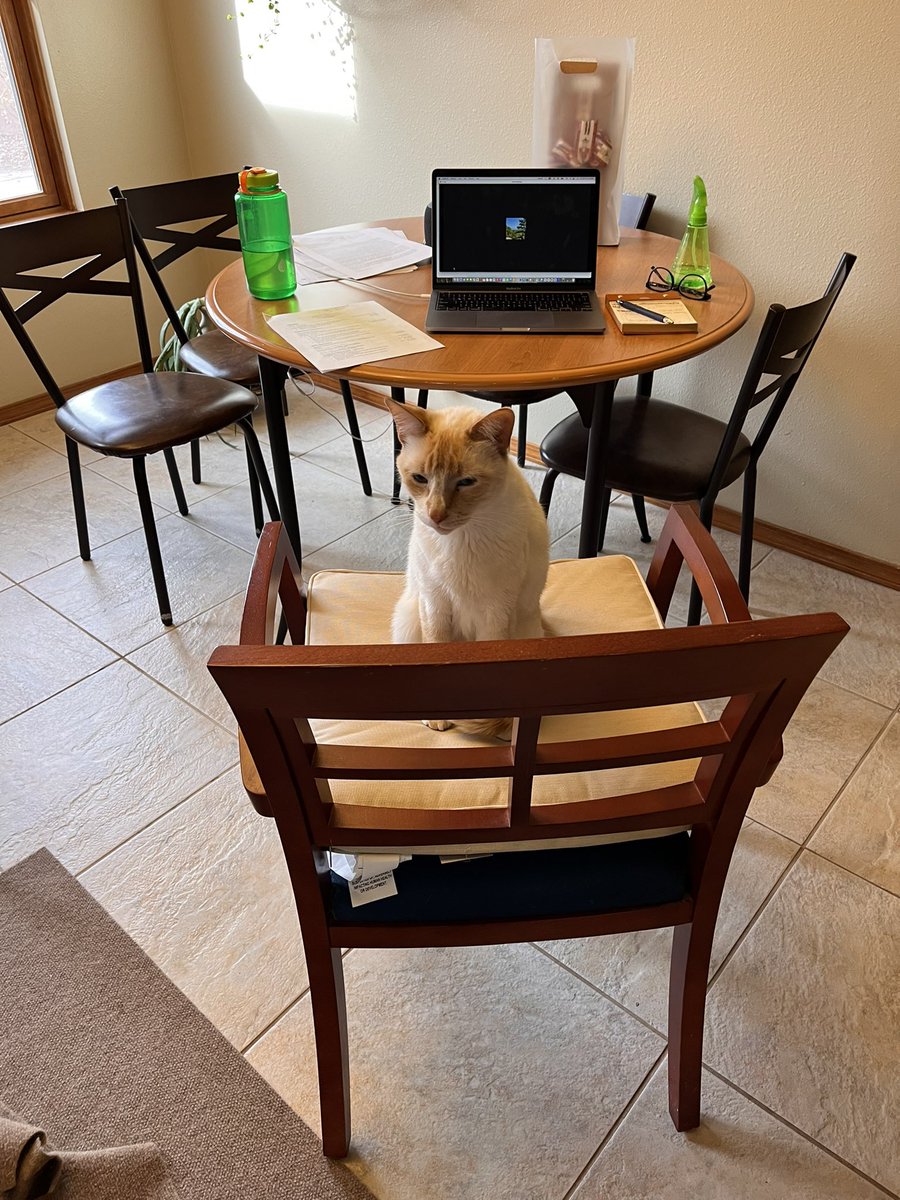 He is going to conduct the next interview session.