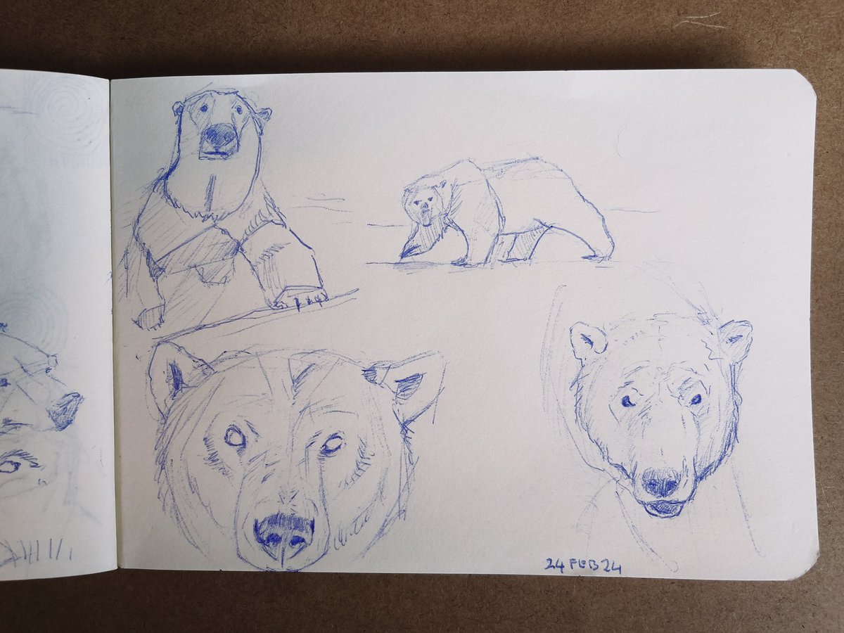 Morning routine ft. polar bears