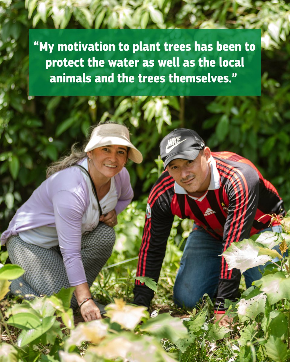 Rare_org's tweet photo. Regenerative farmers in our #LandsForLife program are helping rebuild #biodiversity in Colombia's Meta region through simple techniques like:
🌱Composting
🌱Planting native trees and cover crops
🌱Reducing the use of agrochemicals https://t.co/HsFZDe26Lf