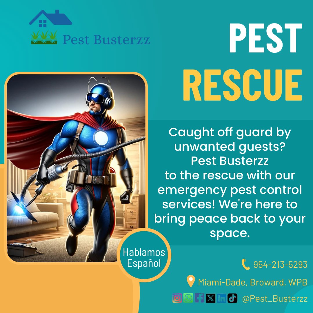 pest_busterzz's tweet image. No pest is a match for Pest Busterzz! 🦸‍♂️ With our superhero-speed emergency services, your home is safe and sound. Ready for action 24/7 because peace of mind is our mission. #PestBusterzzHeroes #EmergencyPestControl #pestbusterzz #termitecontrol  pestbusterzz.com