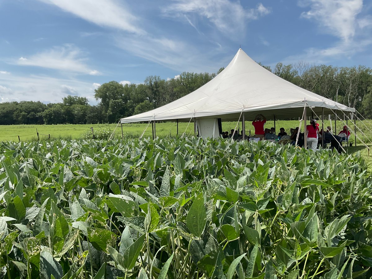 🌱 Exciting opportunity alert! 🚀 Join our team at the University of Nebraska-Lincoln as a Master's student in our soybean plant pathology research program. Dive into groundbreaking research aimed at boosting soybean yield resilience against diseases. #PlantPathology #Soybean