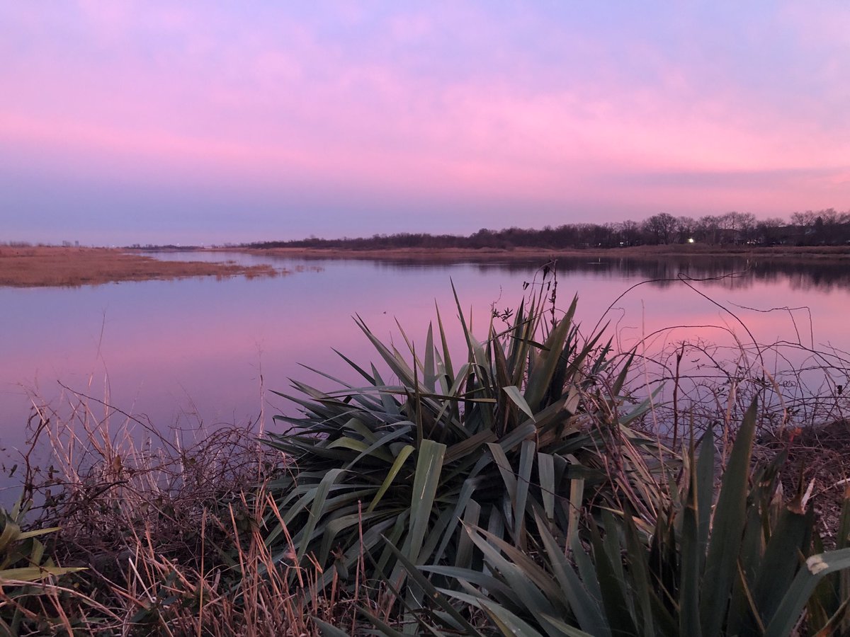 Sveta Poliakova tweet media