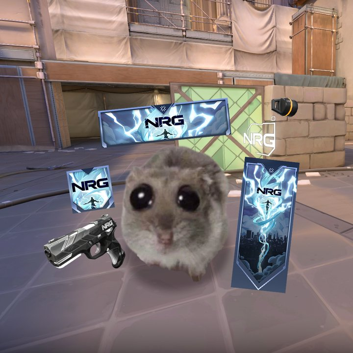 i retired at a good time, 2024 NRG is winning it all #nrgwin