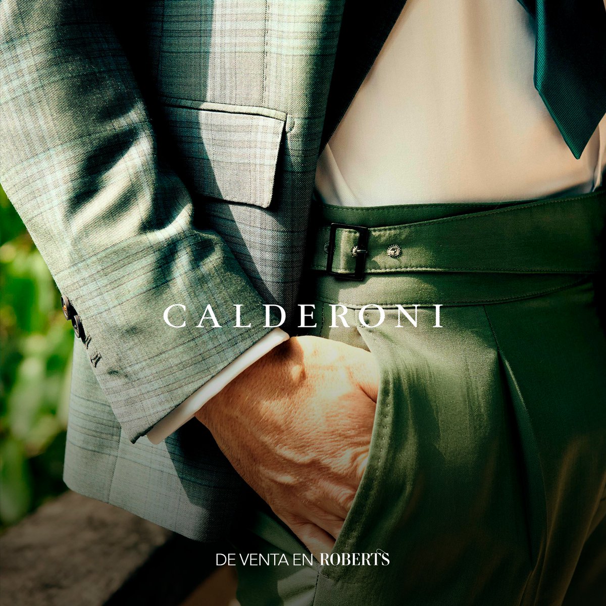 Robert's tweet media