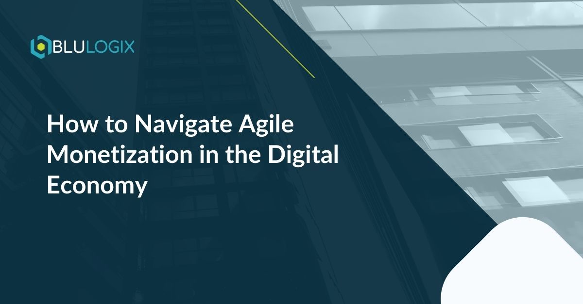 BlulogixMP's tweet image. Staying ahead in digital commerce means embracing agility 🚀 Discover how with our latest whitepaper on agile monetization. 
#DigitalGrowth #MonetizationStrategy  buff.ly/3wm9izp