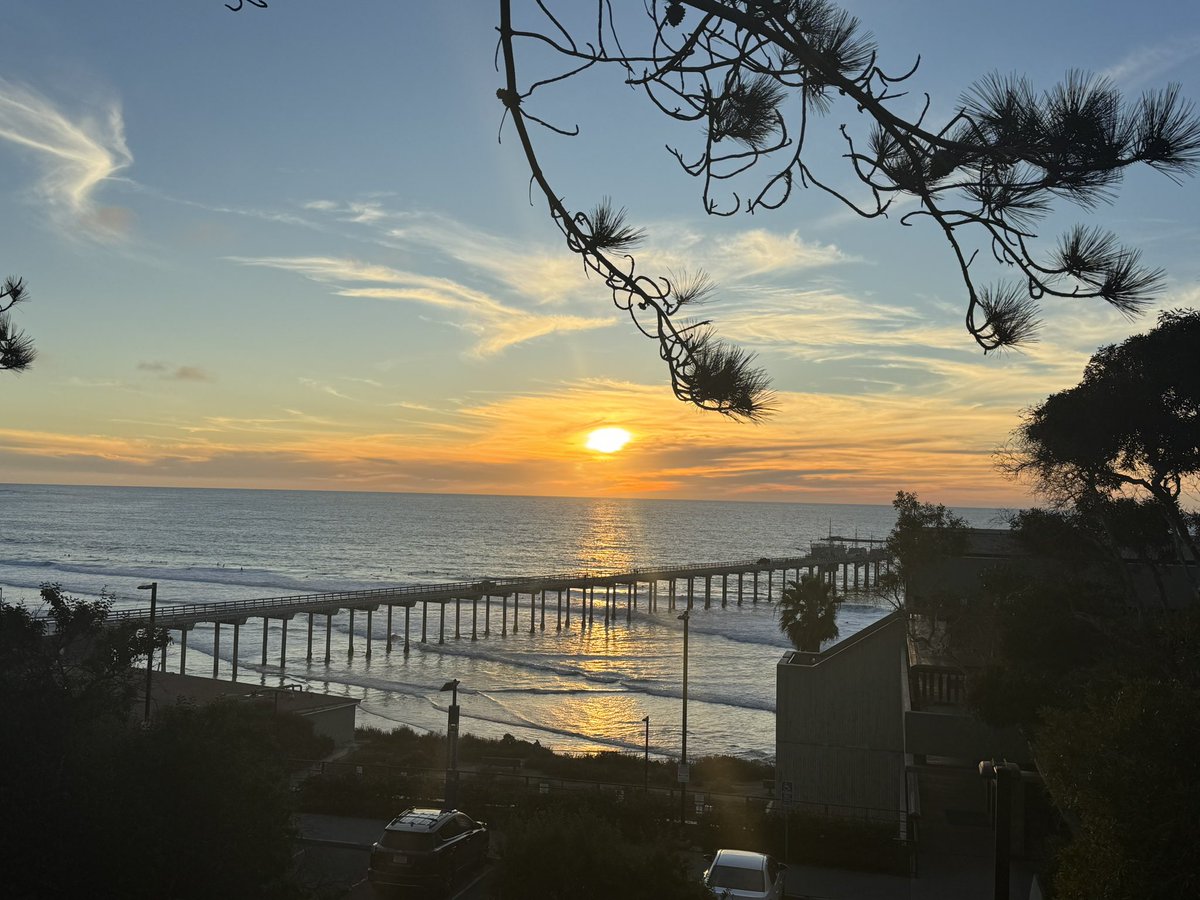 Only possible to promote this key international collaboration with @UCSanDiego @CCB_UCSD due to the generous support of @SydneyUniWorld @KathyBelov @DrEmmaLJohnston a bright and colorful future to follow! @Adam_Guastella @Prof_Naismith @JacobJCrouse