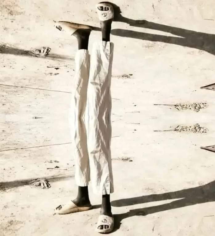 ماااذا لو
     عاد
      متهوراً