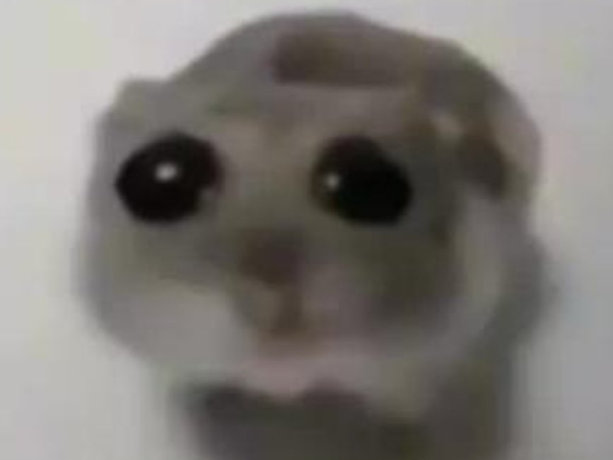 all panic! no disco tweet media