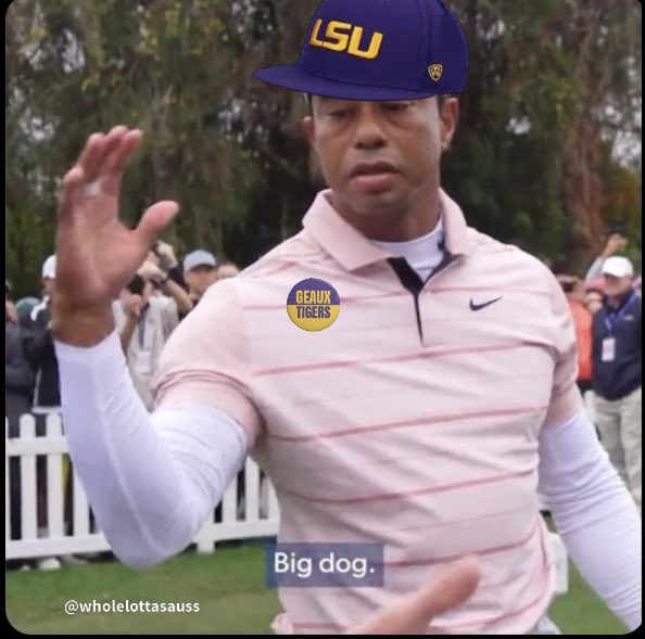 Tigah Paul 🐅 tweet media