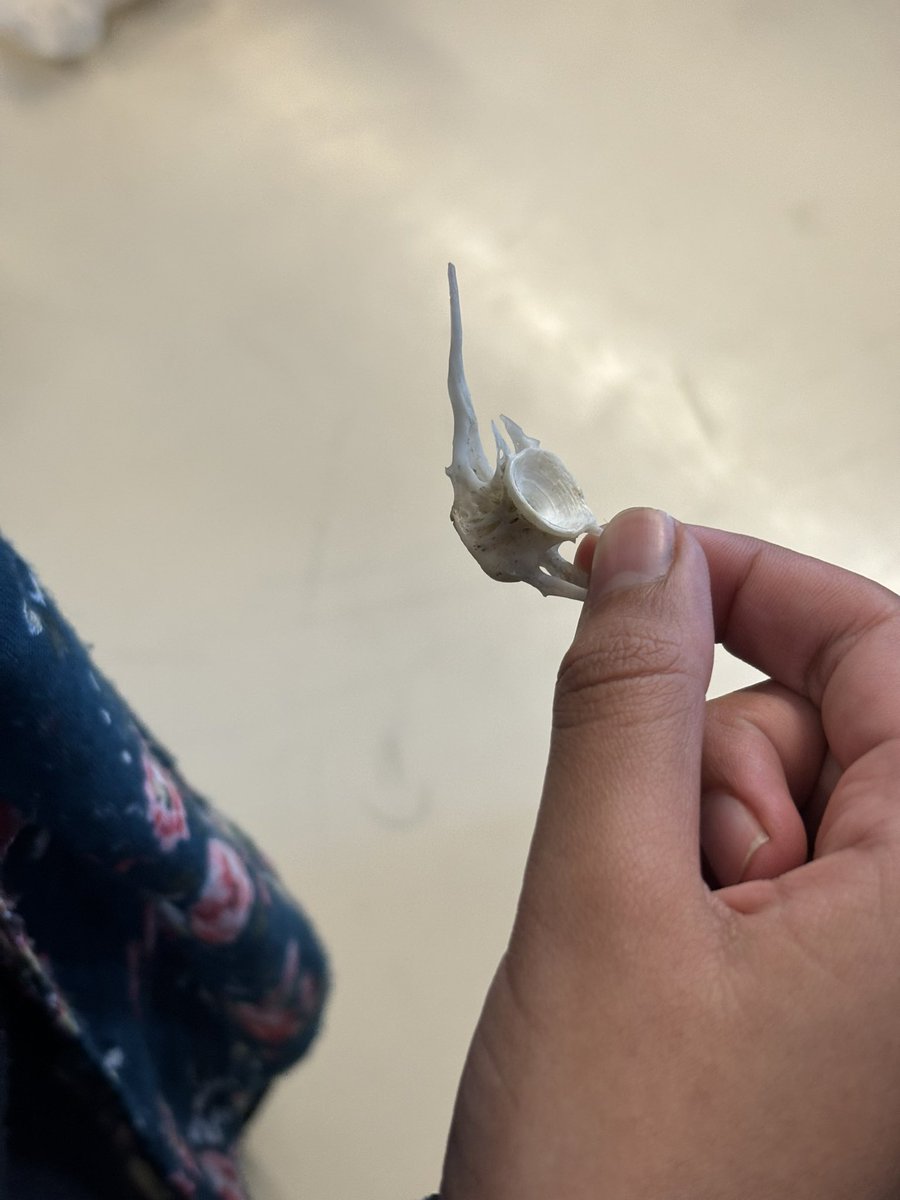 Such beauty in simplicity and joy in resourceful creativity on a thrilling Thursday with Kodiak Herbal. Métis fish scale art is so cool and fun! Marci 🙏

#WeAreCBE