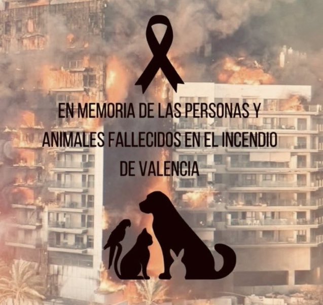 Subero78's tweet photo. Han fallecido muchos animales también en ese incendio que eran parte de las familias, el dolor por todas las víctimas tanto humanas como animales es insoportable. Que pena 😥
#incendio #Valencia https://t.co/FikkWAfWel