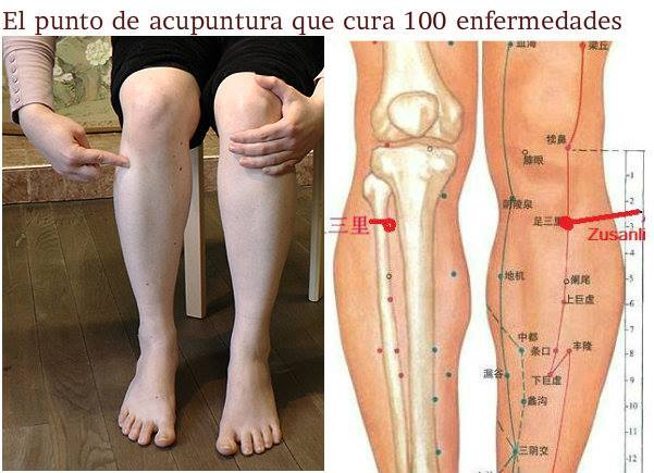 Úsenlo.  
El punto de las 100 enfermedades. 
Cuenta la leyenda que quien encuentra ese punto jamás se enferma y vive 120 años.  
Investigue.    
Es el famoso E36. ( Estómago 36)   
Apriete la zona y donde sienta una pequeña electricidad o dolor raro, ese es.   
Es difícil de