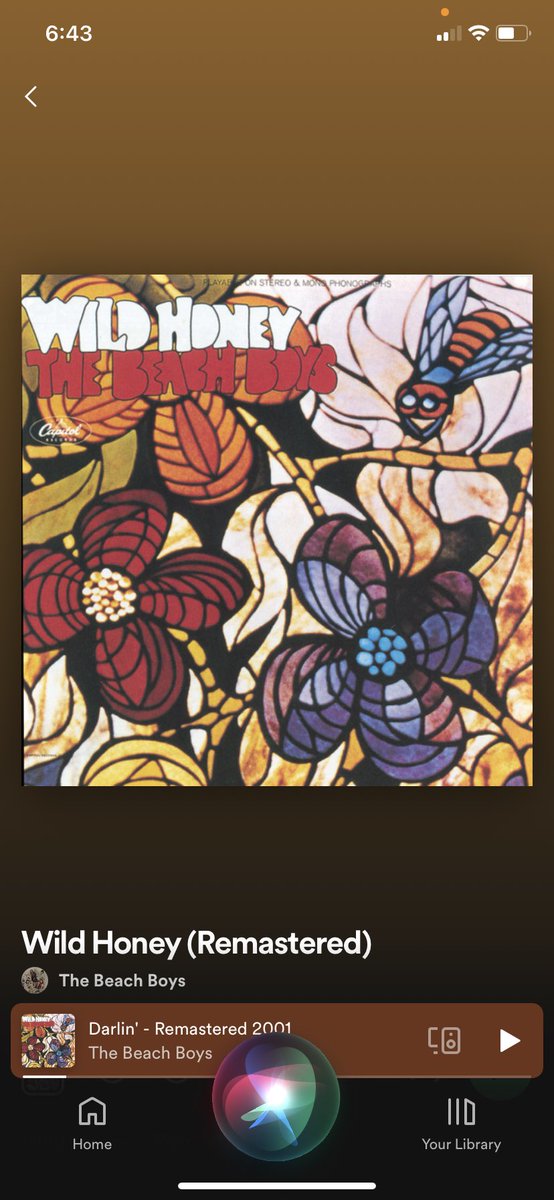 Jody Lynn (@jodylyn47789966) on Twitter photo 