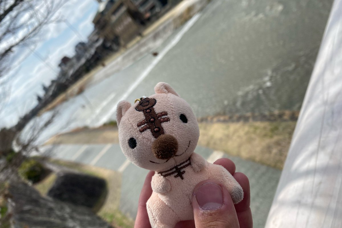 無事確保できたのでゆちゃんと一緒にインスト行きます。ついでにリスと散歩してきた