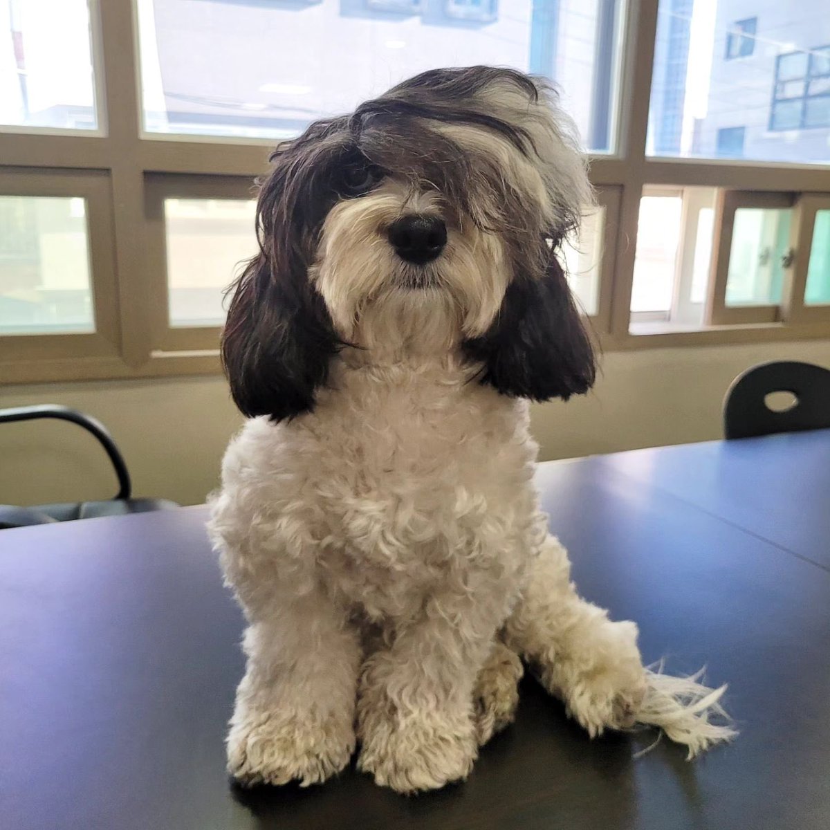 wwlake's tweet image. 미친기시감