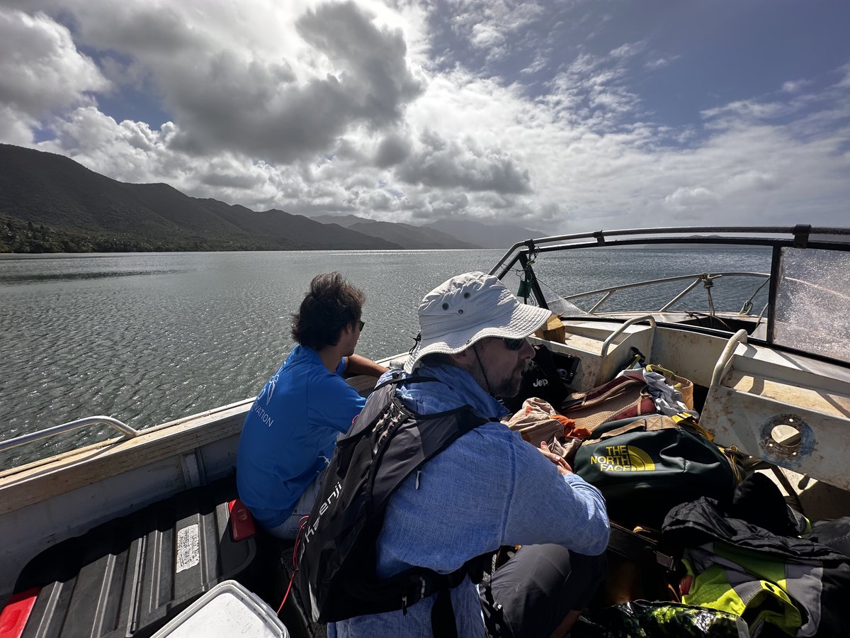 Monitoring and conservation of the World' largest Tahiti petrel colony, east coast of New Caledonia The @BirdCaledonia field team, with #RadjiKainda, the traditional owner of the island and @AlexMillon7 from @imbe_marseille Project supported by @OFBiodiversite & @ProvinceSud