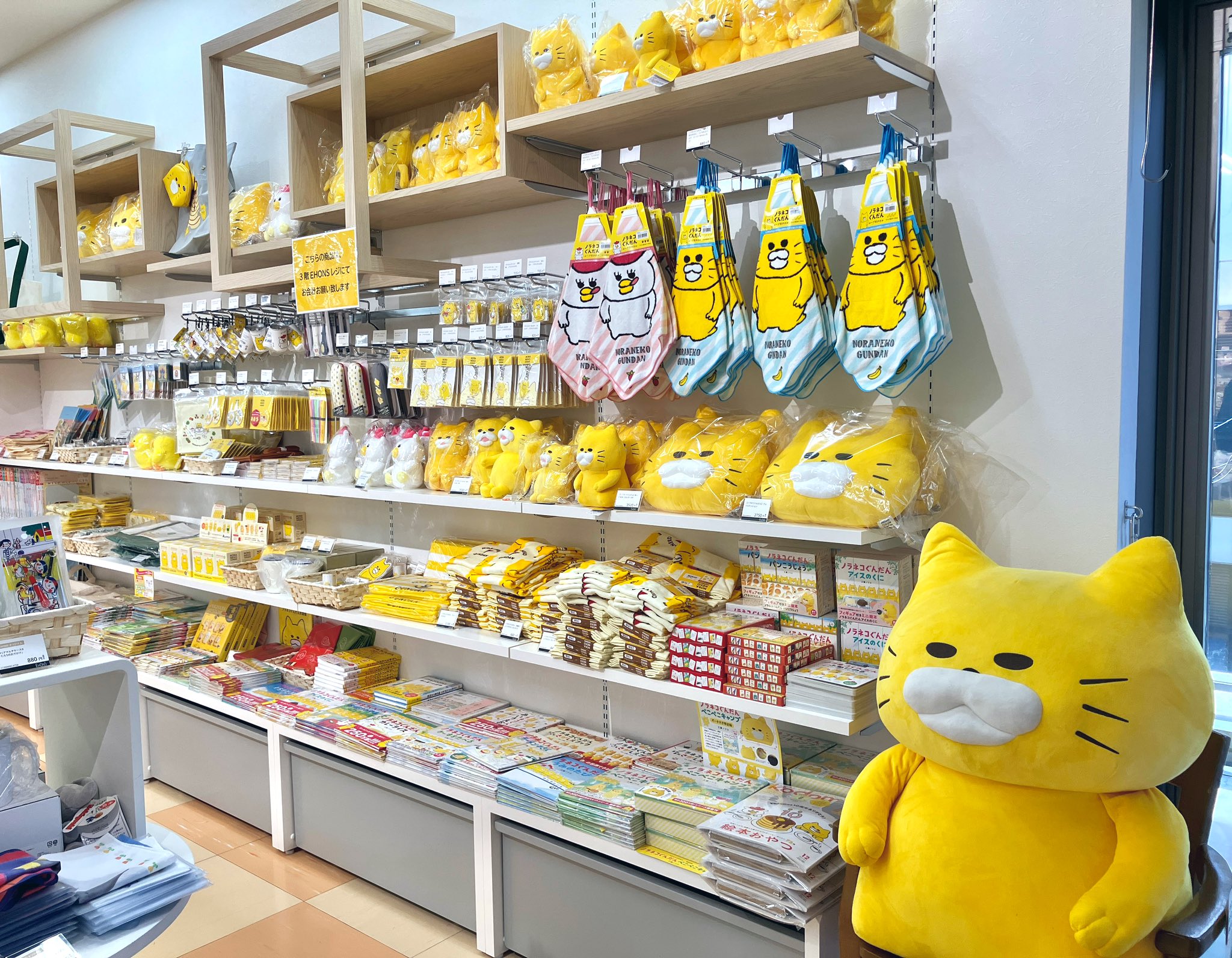ノラネコ様 リクエスト 3点 まとめ商品 kodomoe shop｜【ノラネコぐんだん】クリアマルチケースSS(10th