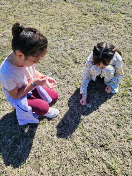 Taylor Elementary tweet media