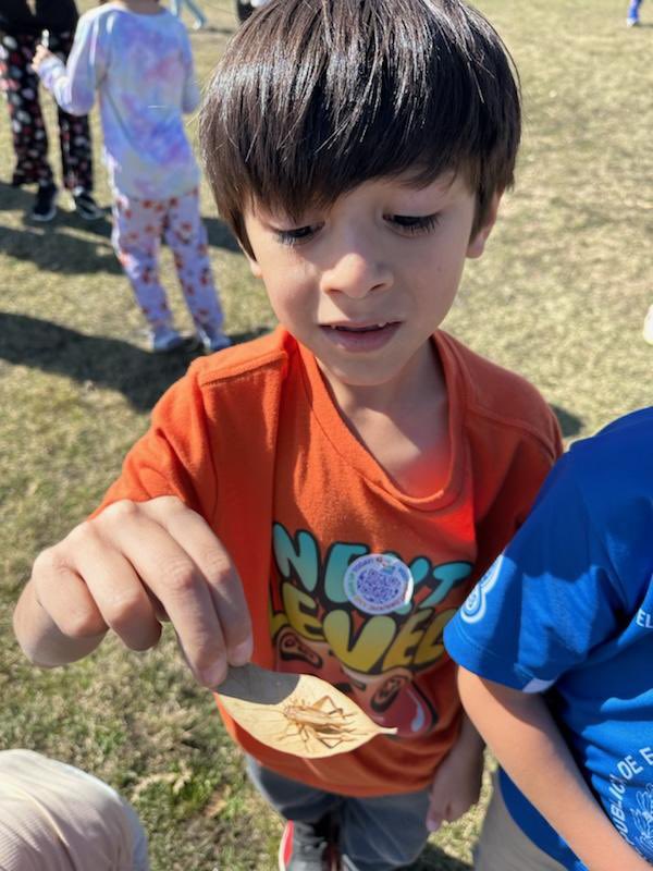 Taylor Elementary tweet media