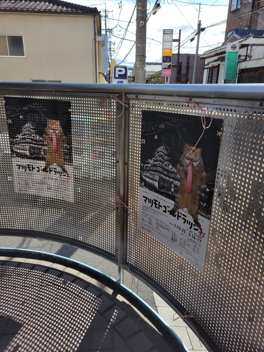 きたよ〜〜〜