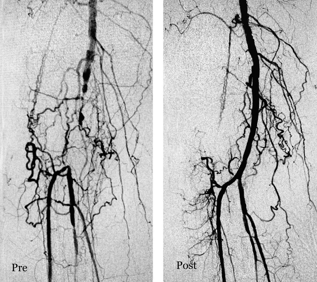 Karan Manoj Anandpara tweet media