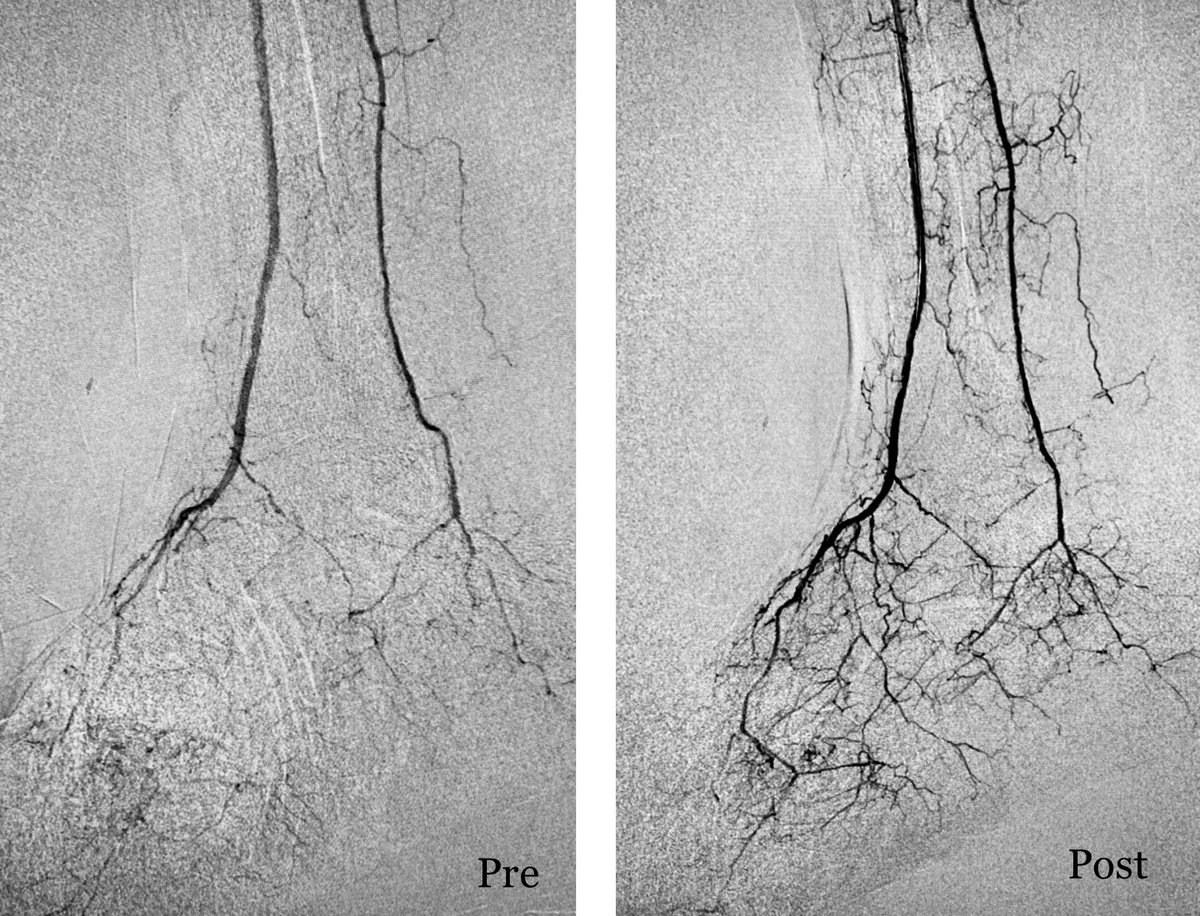 Karan Manoj Anandpara tweet media