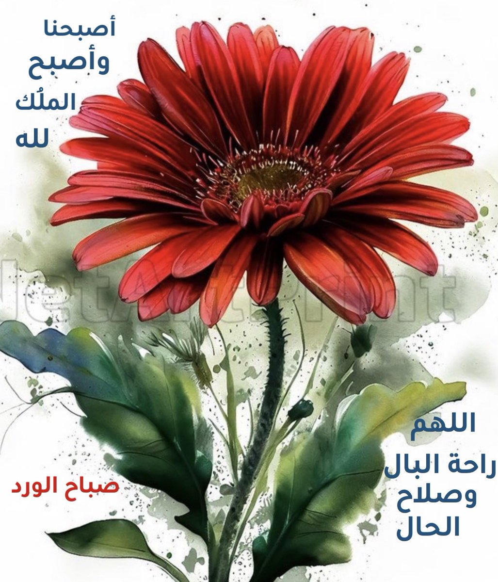 صباح الورد🌷