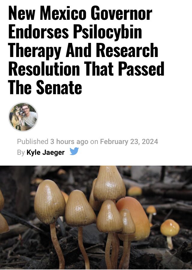 The New Mexico Department of Health will explore establishing a regulatory framework for a state-level psilocybin program