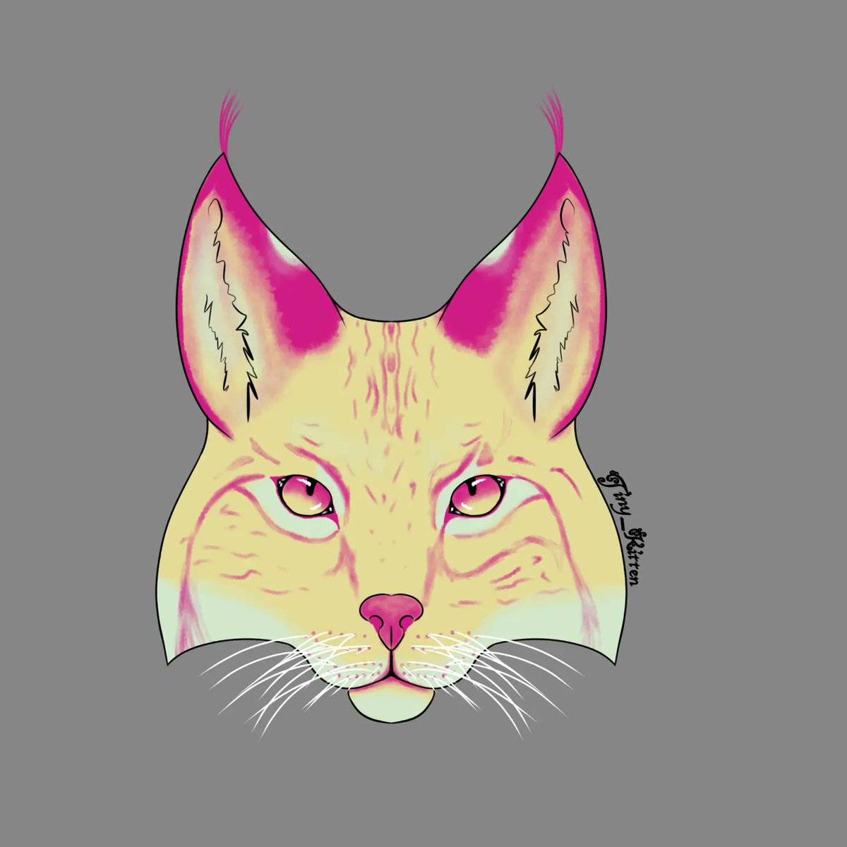 _Tiny_Puppy_'s tweet photo. Forgot to post the lynx when I first did it but here are two drawing I did in grayscale. I chose the colors randomly in gray scale and this is how they turned out what do you think? https://t.co/G61pqssJhe