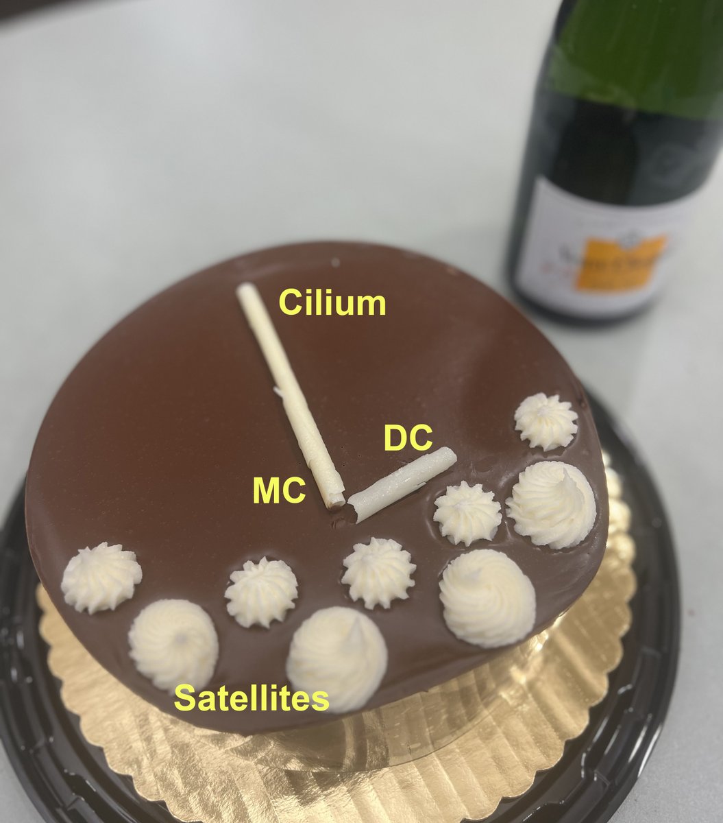<a href="/LangnerEP/">Ewa Langner</a> <a href="/JCI_insight/">JCI insight</a> <a href="/ChengTao_PKD/">tao cheng</a> It's science. And delicious. #IYKYK