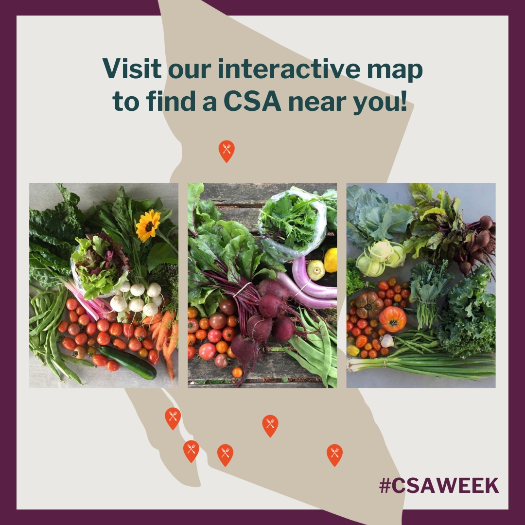 ffcf's tweet photo. We are so excited to spend this week celebrating all things Community Supported Agriculture. Check out our map of local farmers offering CSA shares!

https://t.co/PNqWirVx5R 

#CSAWEEK https://t.co/D1D5gdnfbI