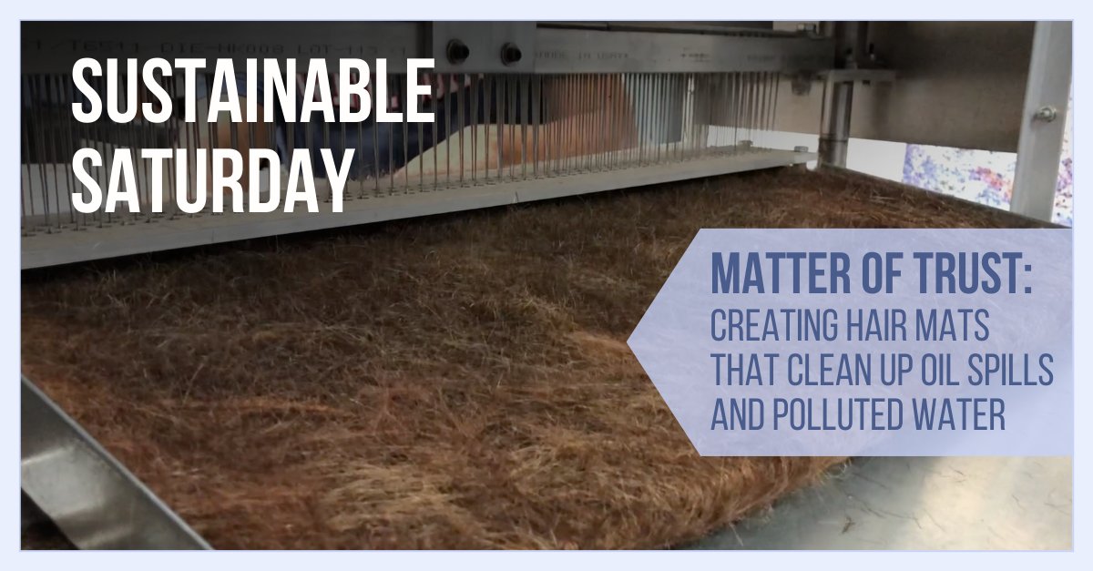 Everclime tweet media