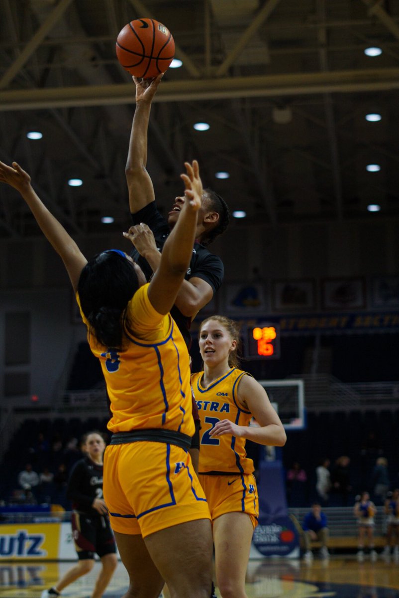 Charleston Women’s Hoops tweet media