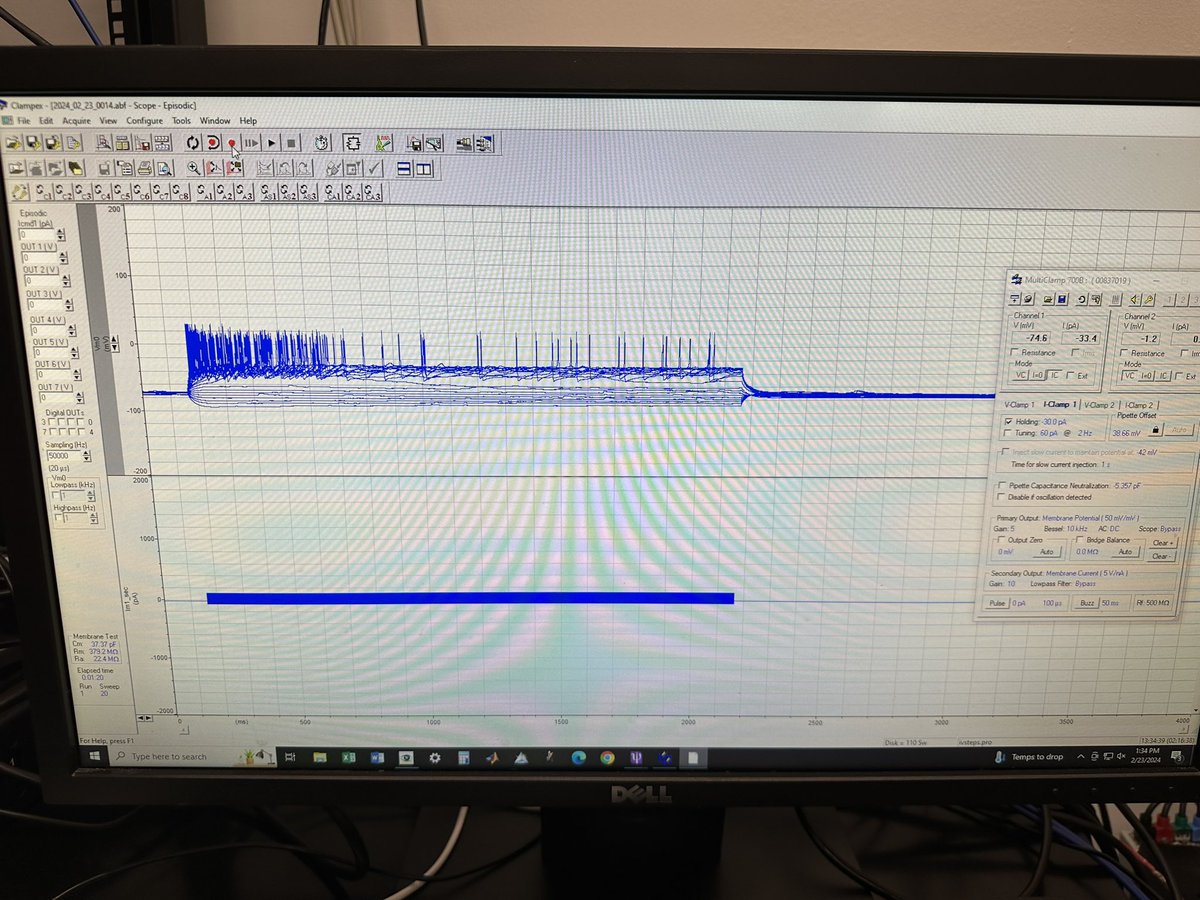 Ending the week with beautiful traces 😍 my one of the first successful patch-clamp recordings 🥳