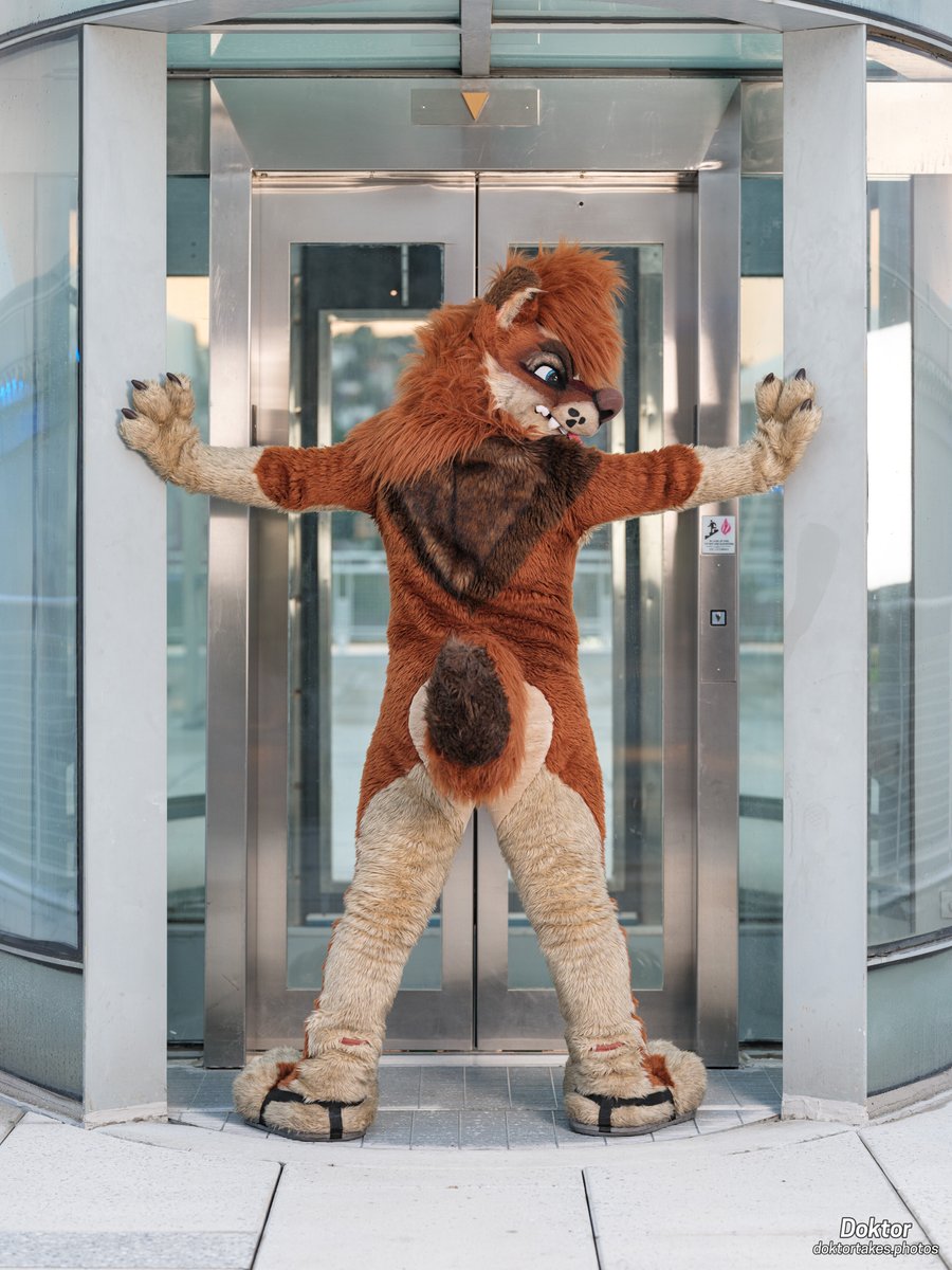 What are you staring at? This elevator's mine. #FursuitFriday 📸: @DoktorTheHusky