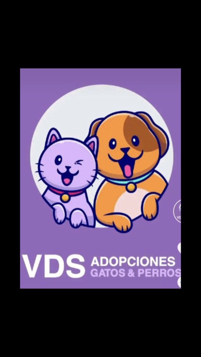 Les pido a todos que me empiecen a seguir en mi nuevo Twuiter así verán la realidad de los casos ayúdenme a difundir a salvar vidas ! En la otra cuenta verán los que fueron rescatados y adoptados 
Vds2023 
@vdsrou3333
Ese es mi Twuiter