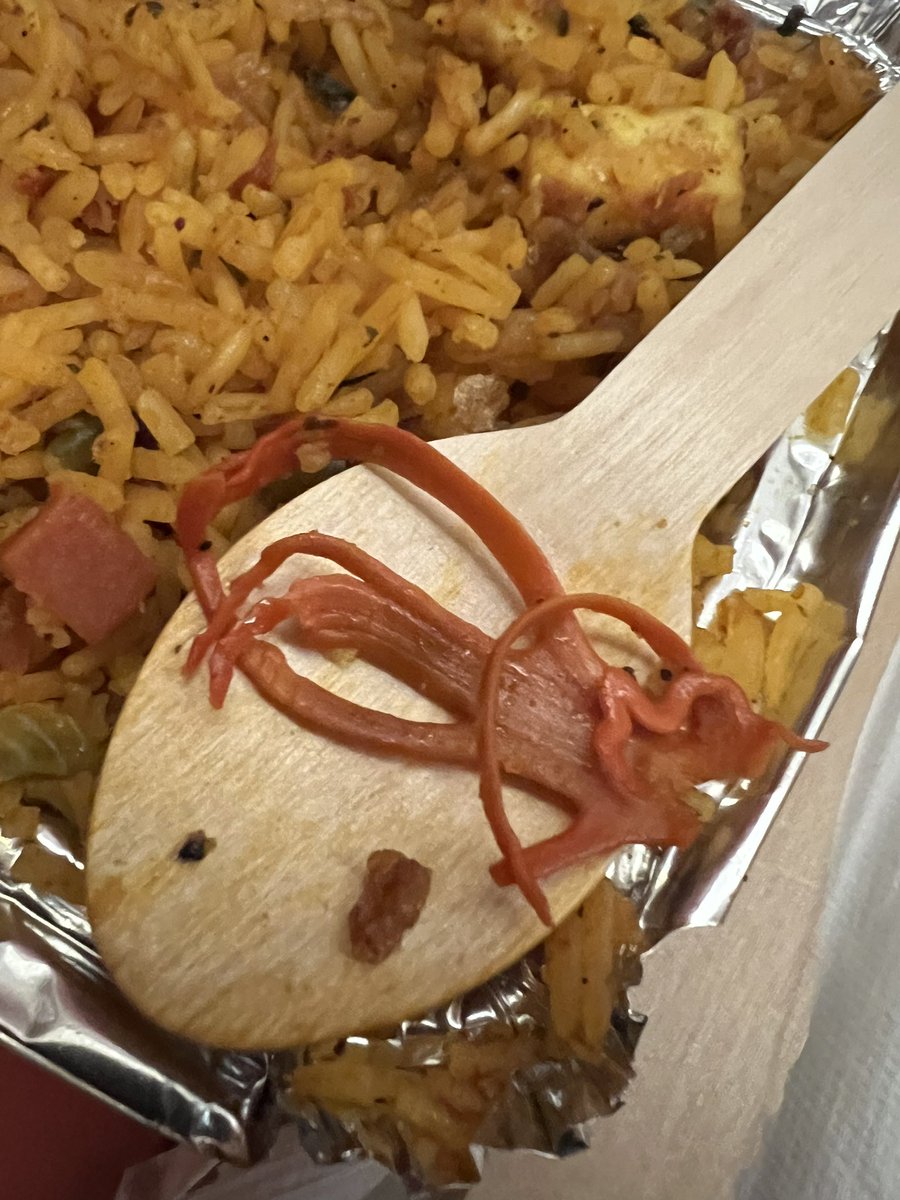 codeNbit's tweet photo. Moreover, we found something resembling an insect in our meal and wanted to know but the crew doesn’t know and didn’t try to let us know that added to our distress, showing a lack of concern for passenger safety and satisfaction. https://t.co/fdijkr2uib