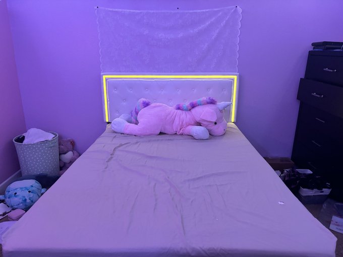 Got my bed frame today and I finally got it done I love it https://t.co/tWB8rtuqXZ<a href="/tag/realloyalfans"class="tags"><span>#realloyalfans</span></a>