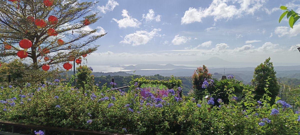 sethdotdev's tweet image. 