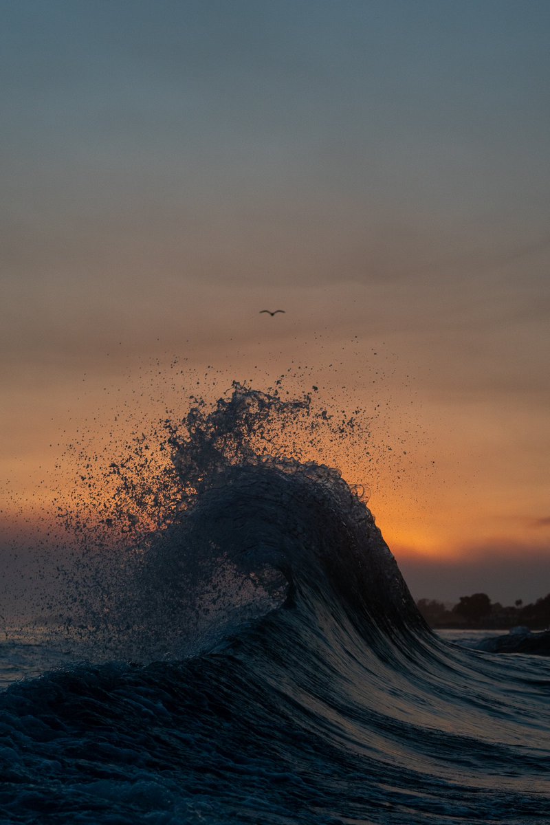 Sailing into Twilight