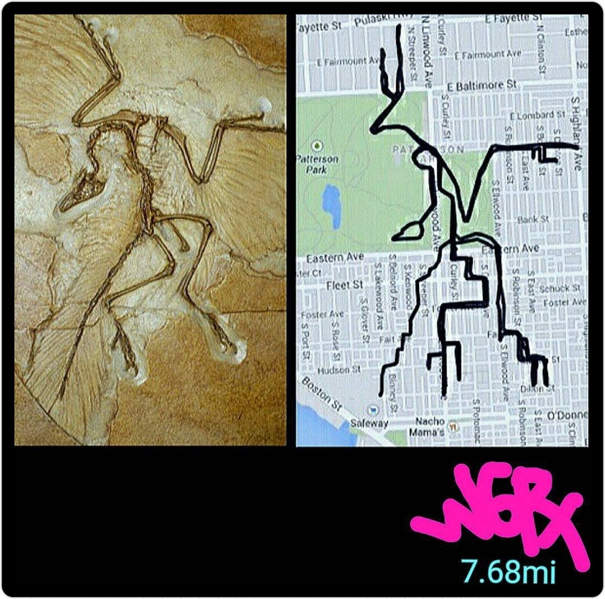 *GPS Fossil Friday! #fossilfriday!