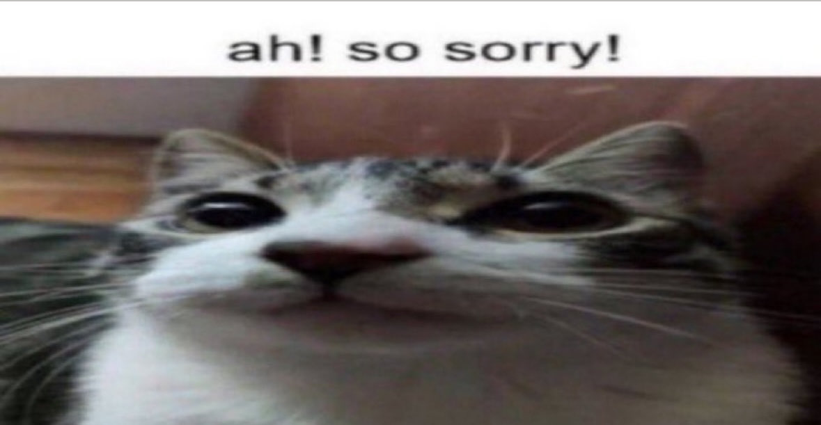 Pixie Realm tweet media