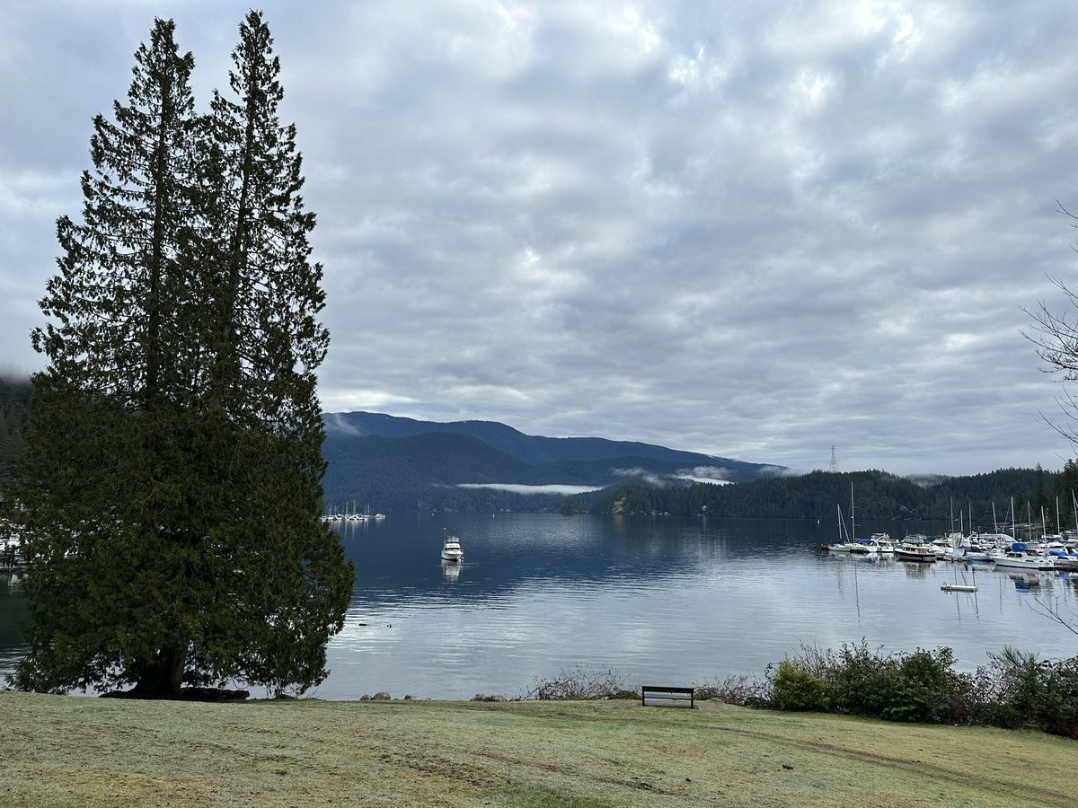 Anna Blefare tweet media